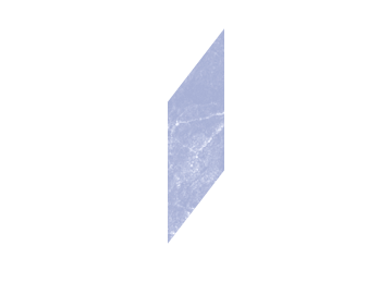 ZIZ